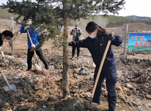 务实干练的女镇官张岫