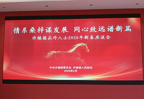 安徽省南陵县许镇镇：乡贤会聚“汽车强镇”献计献策谋发展